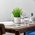 Διαμέρισμα Designer Urban Retreat, Near Old Town, Wifi 100mbs, Smart Tv *